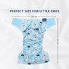 Washable and Reusable Cloth Diaper for Babies - Pack of 2 - hopop.in