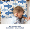 Soft & Breathable Premium Cotton Toddler Pillow Cover - hopop.in